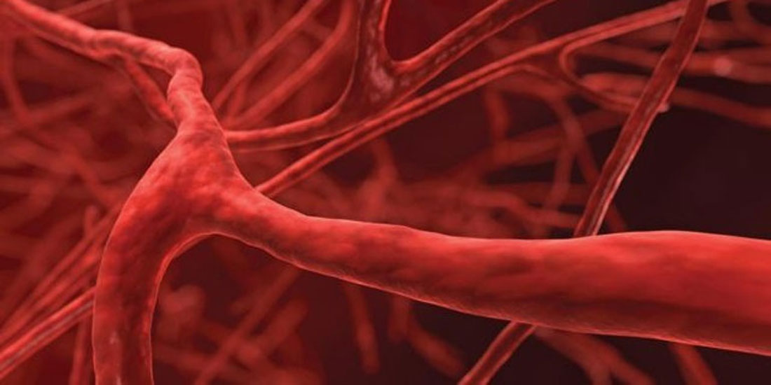 Δημιουργήθηκαν για πρώτη φορά στο εργαστήριο τέλεια ανθρώπινα αιμοφόρα αγγεία