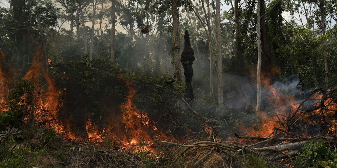 Μελέτη συνδέει τις πυρκαγιές στον Αμαζόνιο με αυξημένα αναπνευστικά προβλήματα των παιδιών στη Βραζιλία  