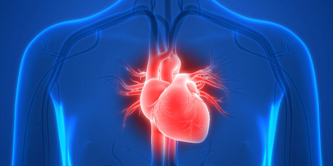 Η πρώτη προσαρμοζόμενου μεγέθους βαλβίδα καρδιάς, ανοίγει νέους δρόμους στην καρδιοχειρουργική
