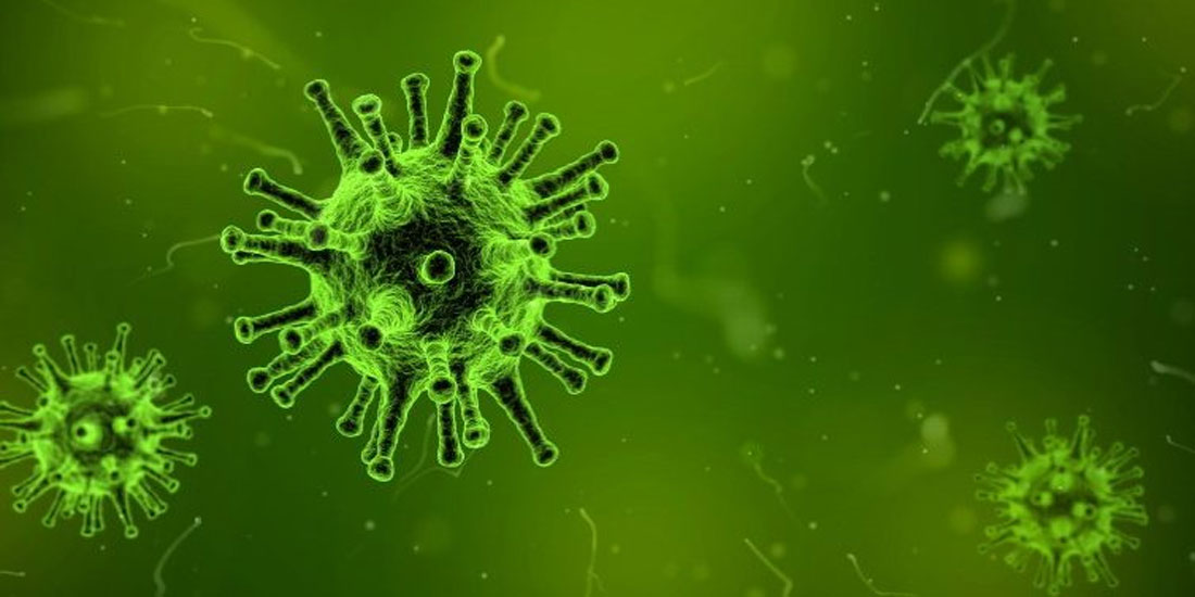Νέα Ερωτήματα για τον ιό SARS-CoV-2
