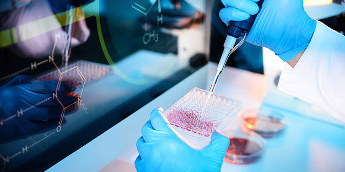 SARS-CoV-2: Πώς εκμεταλλεύεται το ανοσοποιητικό σύστημα του ανθρώπου και με ποιο μηχανισμό προσβάλει τα κύτταρα