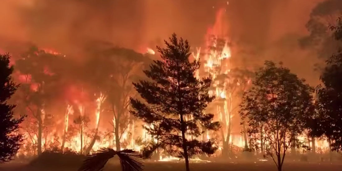 Κίνδυνος οι δασικές πυρκαγιές για επιδείνωση των συμπτωμάτων της COVID-19