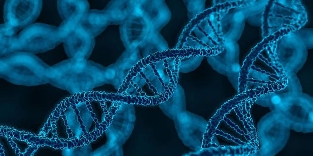 Τμήμα του ανθρώπινου DNA, κληρονομιά από τους Νεάντερταλ , αυξάνει τον κίνδυνο για σοβαρή Covid-19