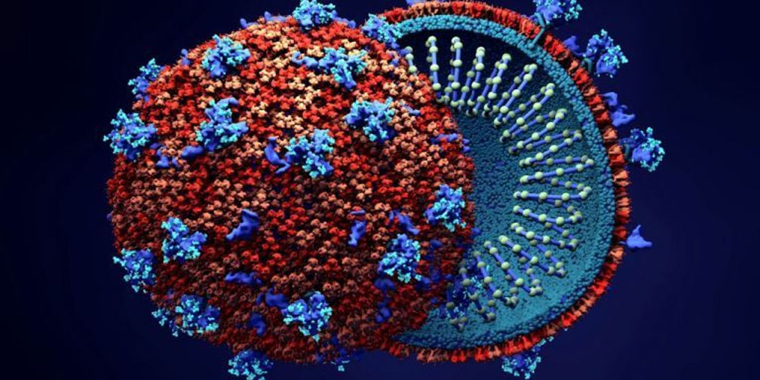 Ερευνητές του ΜΙΤ δημιούργησαν τον πιο ολοκληρωμένο «χάρτη» του γονιδιώματος του κορωνοϊού
