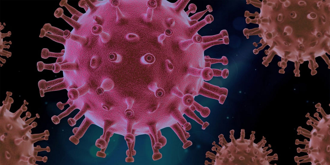 Παναμερικανικός Οργανισμός Υγείας: Ίσως και να χρειαστούν χρόνια για να τεθεί ο ιός υπό έλεγχο