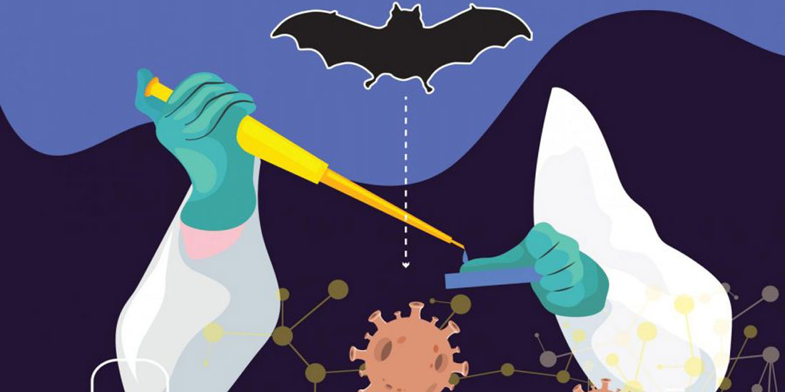 Ανακαλύφθηκε νέος ανθεκτικός στα εμβόλια κορονοϊός σε νυχτερίδες