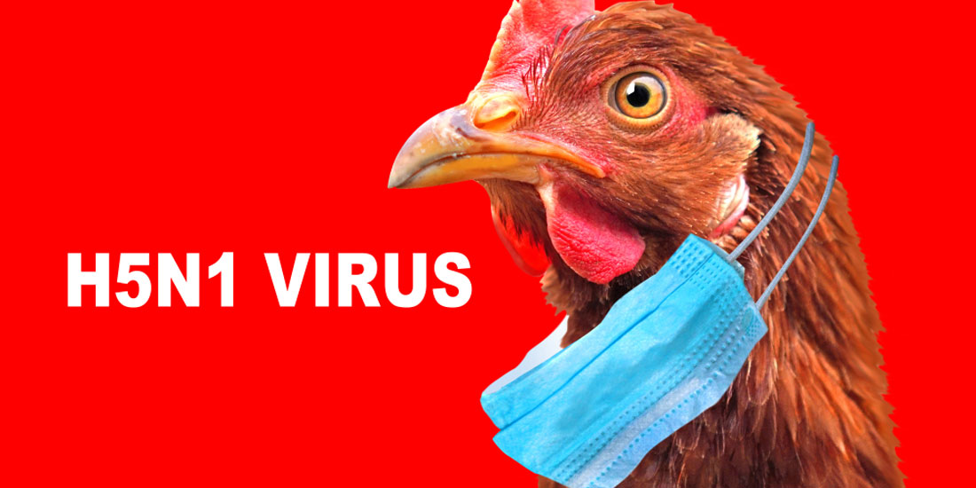 Επιβεβαιωμένες εστίες γρίπης των πτηνών υψηλής παθογονικότητας σε χώρες των Βαλκανίων