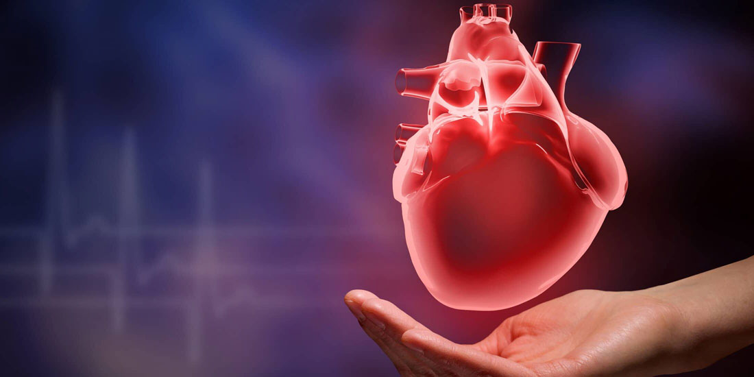 Ελληνική Καρδιολογική Εταιρεία: Πανελλήνια Καμπάνια ενημέρωσης για την Καρδιακή Ανεπάρκεια