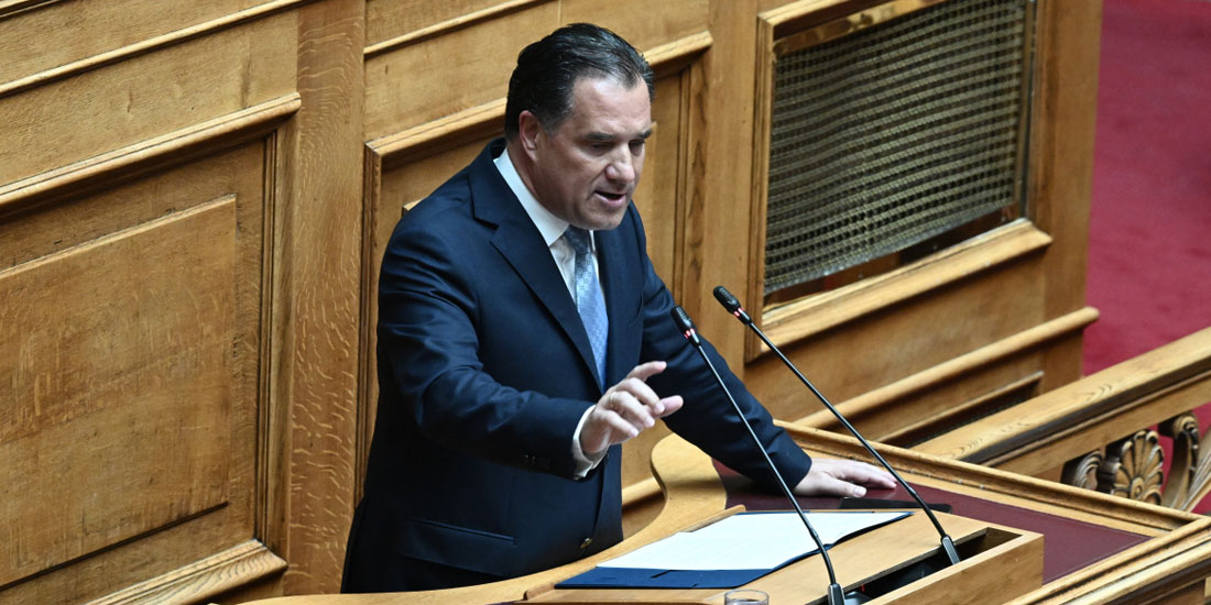 Γεωργιάδης: «Μόνο ένας ανόητος υπουργός θα έκλεινε ψυχιατρικά νοσοκομεία»