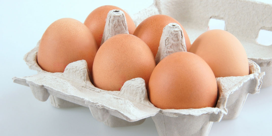Δεν υπάρχει ανησυχία για μολυσμένα αβγά στη χώρα μας, λένε οι Έλληνες Αβγοπαραγωγοί
