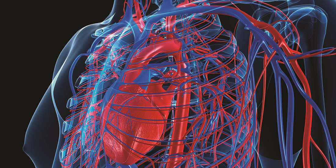 Έρευνα ακριβείας στο καρδιαγγειακό με τη συνεργασία της Bayer και του Broad Institute των MIT και Harvard