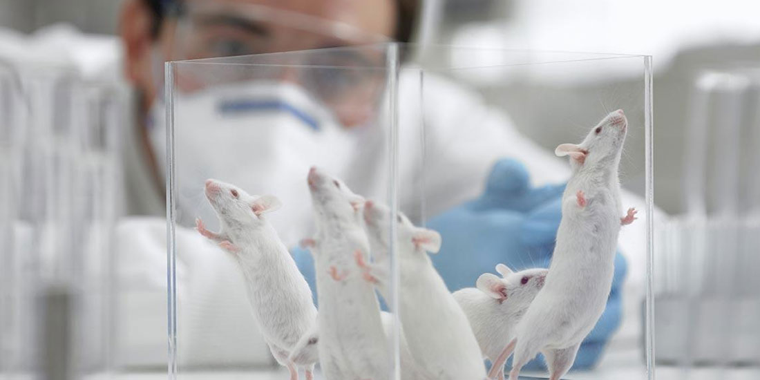 Κινέζοι επιστήμονες δημιούργησαν υγιή ποντίκια από γονείς ιδίου φύλου!