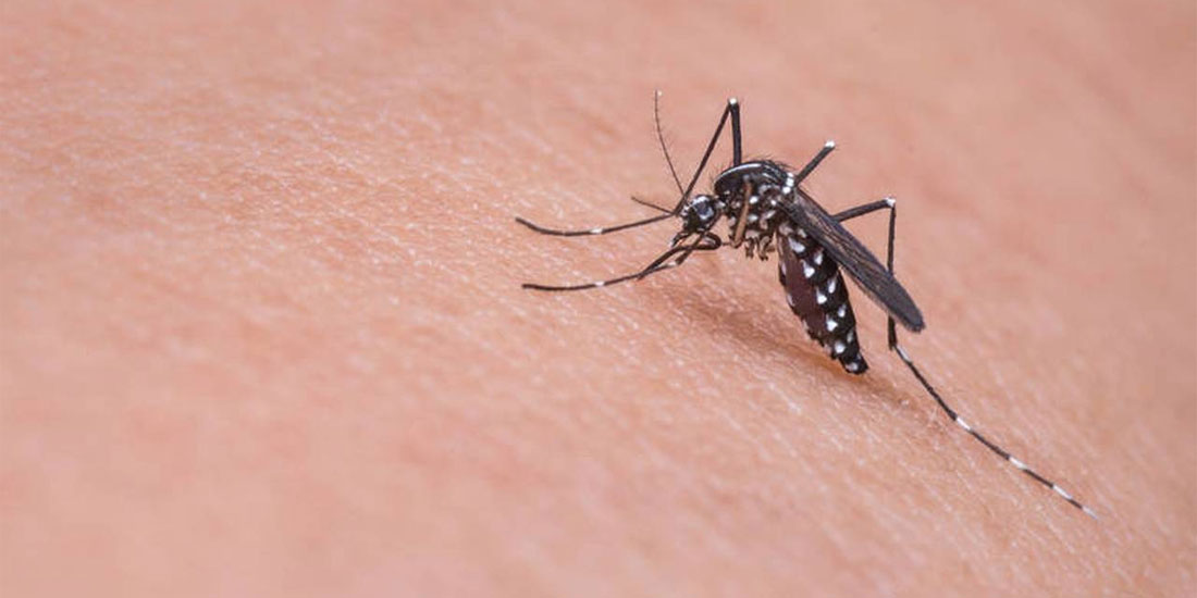 Διευρυμένη σύσκεψη για την αντιμετώπιση νοσημάτων που μεταδίδονται μέσω των κουνουπιών